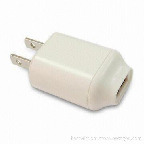 USB Travel Charger for iPad with 5V DC Output Voltage, 1A Charging Rate